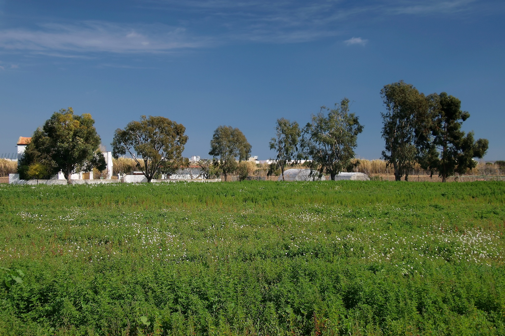 Paisaje del Baix Llobregat